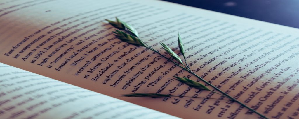 a flower lying on top of a book