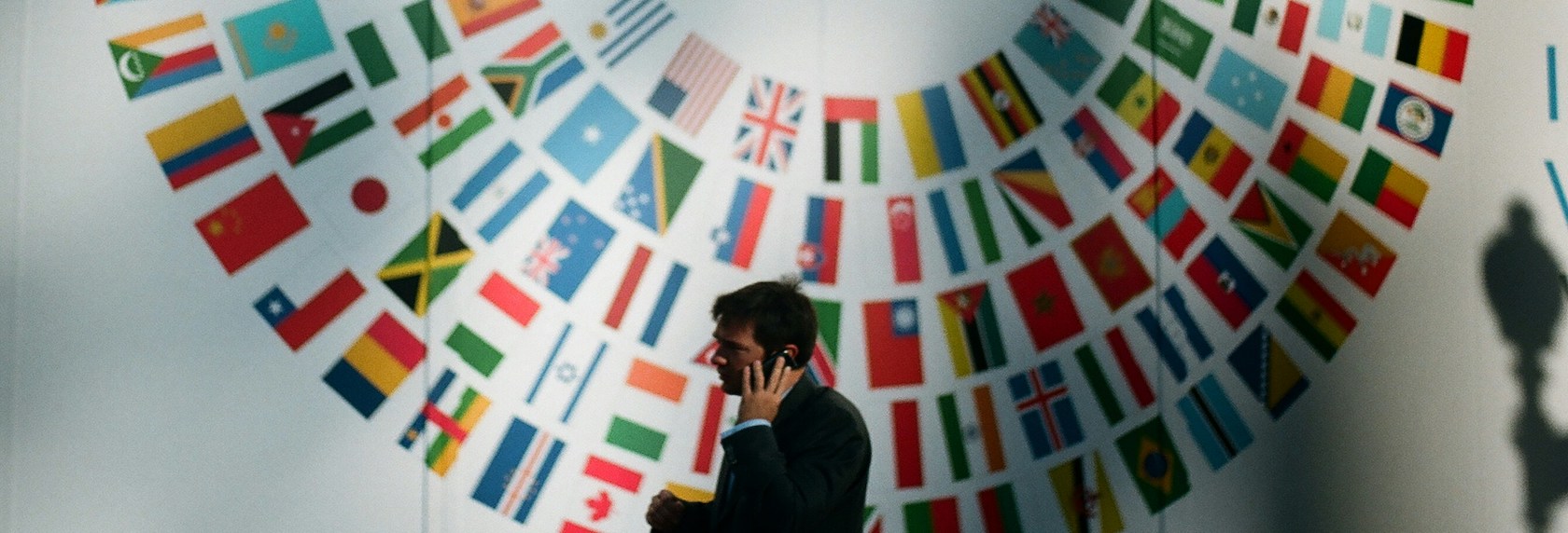 Translator standing in front of a wall of international flags